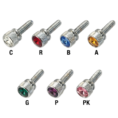 Chrome Kenworth Short Dash Screw with Color Jewel 字加粗 400x400