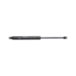 Gas Strut