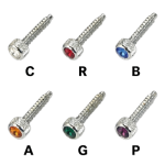 Kenworth Long Dash Screw